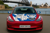 Canterbury-Bankstown Bulldogs Bonnet flag & side mirror