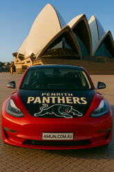 Penrith Panthers Bonnet & side mirror flags