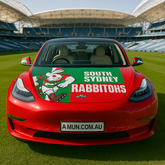 South Sydney Rabbitohs Bonnet Flag & Side Mirror Covers