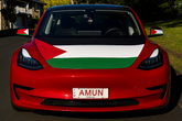 Palestinian Bonnet Flag & Side Mirror Covers