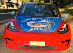 Parramatta Eels Bonnet Flag & Side Mirror Covers