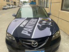 Penrith Panthers Bonnet & side mirror flags