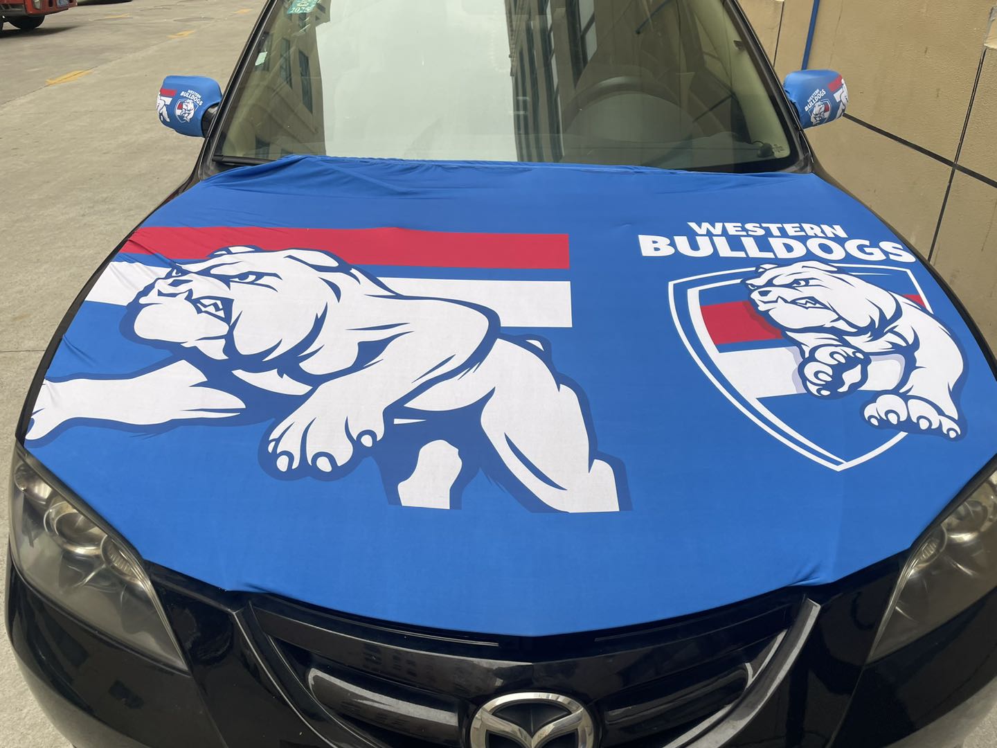 Western Bulldogs Bonnet flag & side mirror